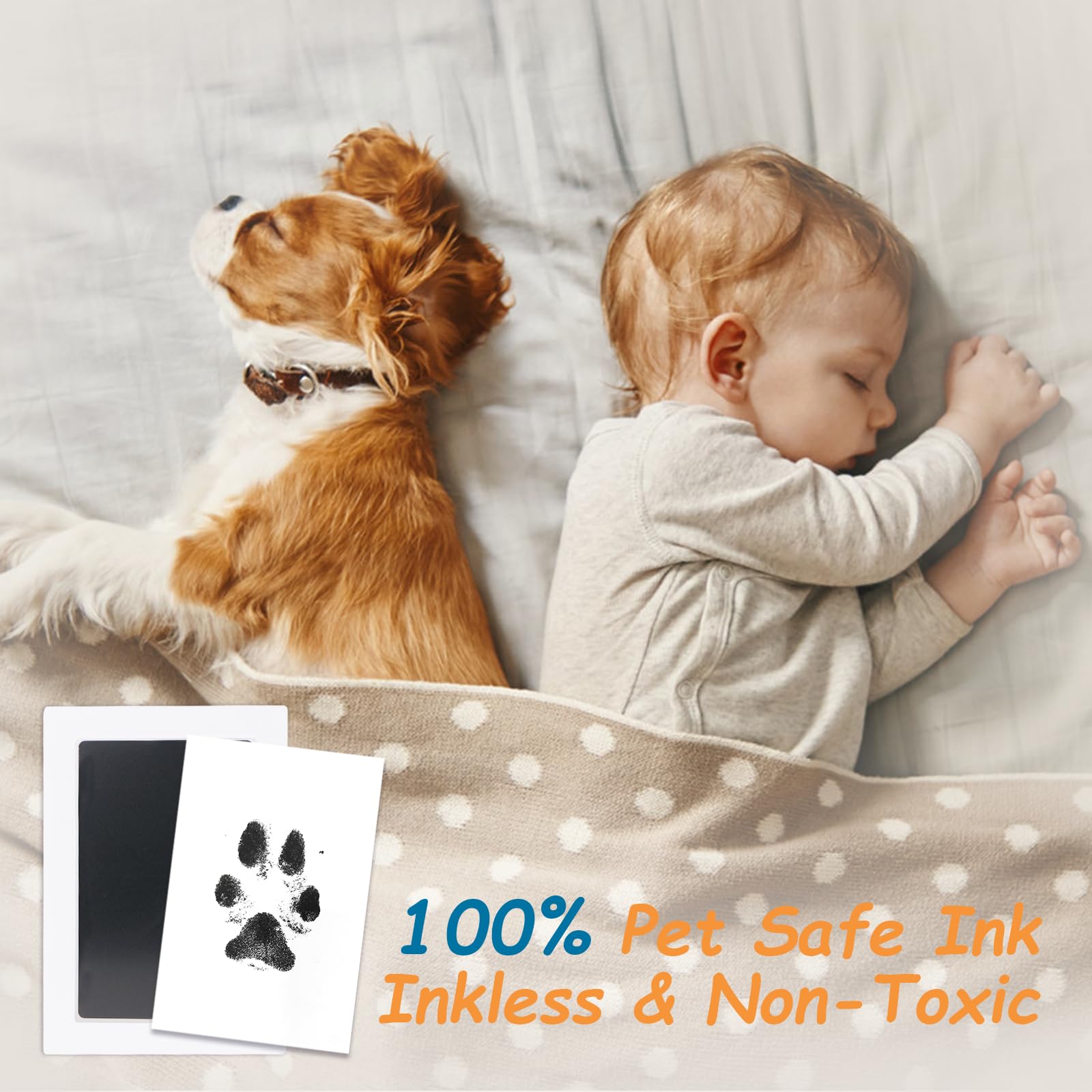 DeerZone empreinte patte petite, convient petits chiens et chats.