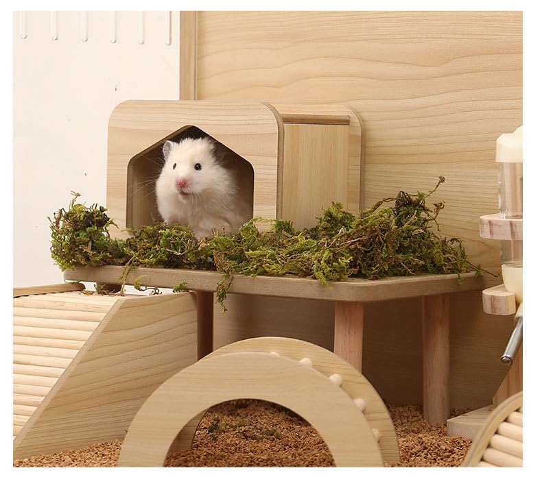 DEFKIYT Hamster Base Bois Durable Anti-Renversement: stabilité accrue pour jouer sans déraper.