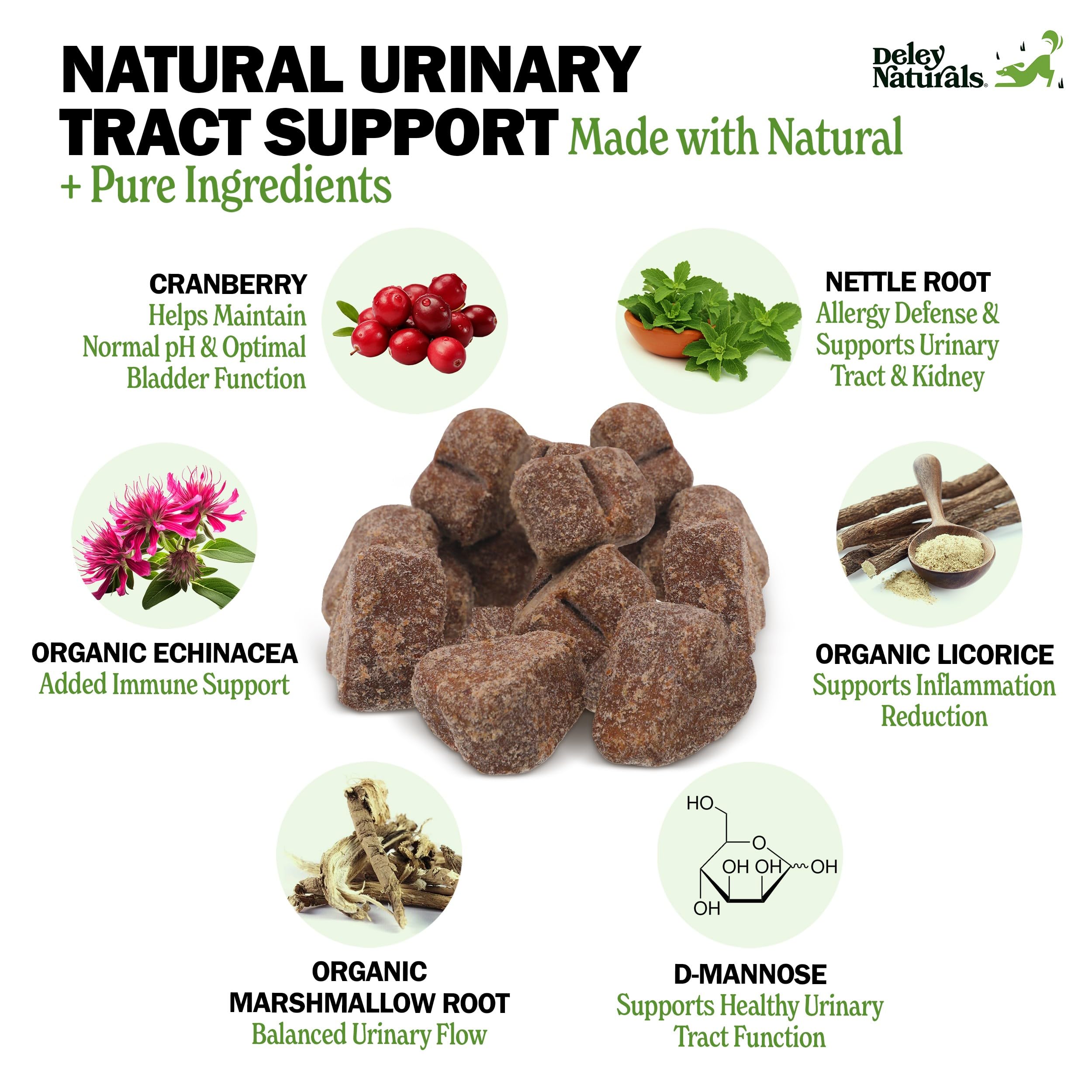 Bouchées Deley Naturals avec echinacee pour soutien immunitaire canin.