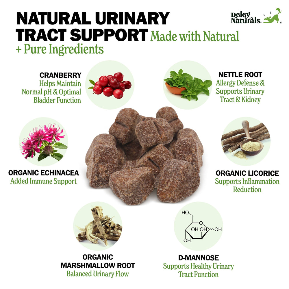 Bouchées Deley Naturals avec echinacee pour soutien immunitaire canin.