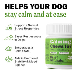 Bouchées Deley Naturals pour chien, aide à rester posé face aux feux d'artifice.