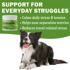 Morceaux de friandises Deley Naturals pour chien, favorisant le calme au quotidien.