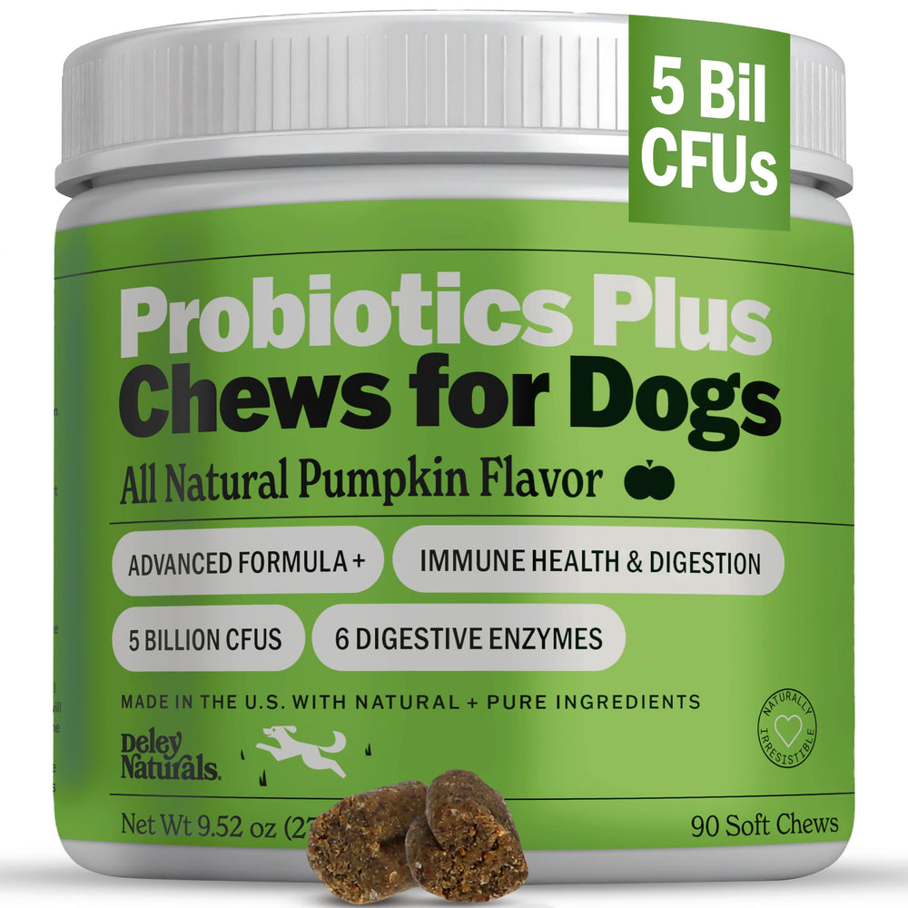 Deley Naturals Probiotics Plus Chews — bouteille, soutien potentiel à la digestion canine.