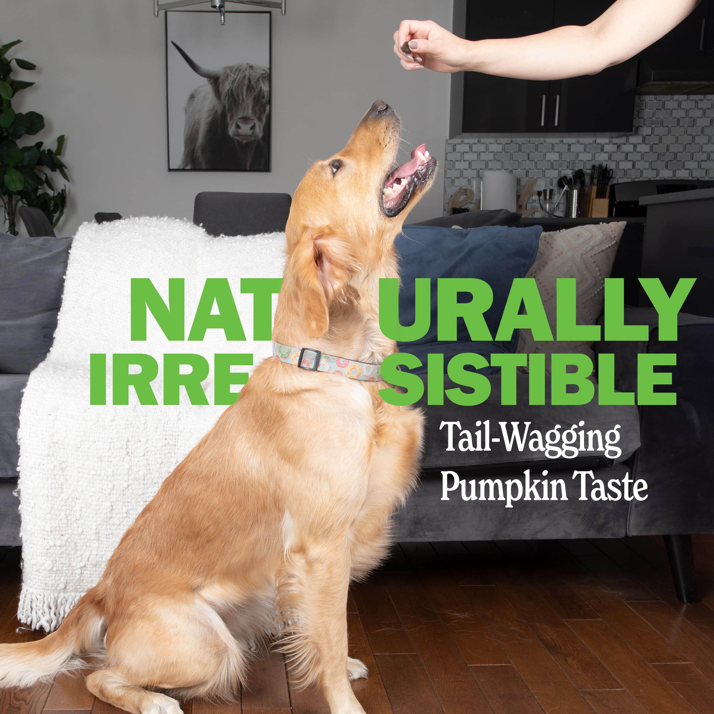 Deley Naturals Probiotics Plus Chews — emballage USA, fabrication contrôlée et qualité.