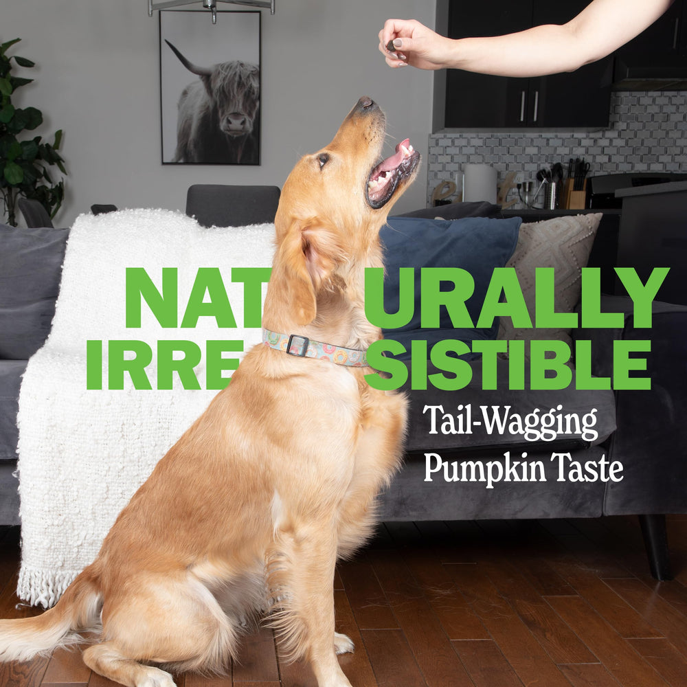 Deley Naturals Probiotics Plus Chews — emballage USA, fabrication contrôlée et qualité.