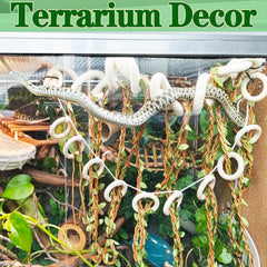 Delllala décor terrarium escalade, aspect naturel et fonction décorative