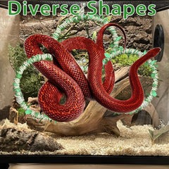 Delllala decoration-habitat-reptile: décor réaliste qui améliore l'ambiance du terrarium.