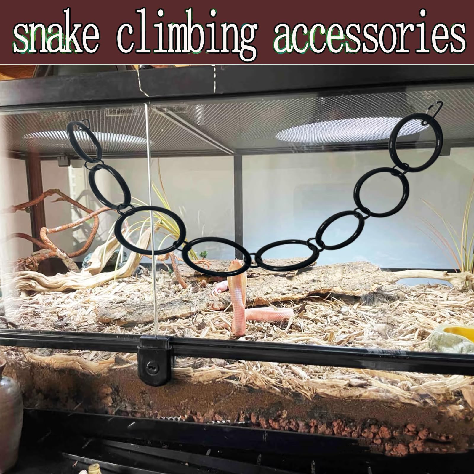 Delllala enrichissement petit reptile: encourage l'exploration quotidienne.