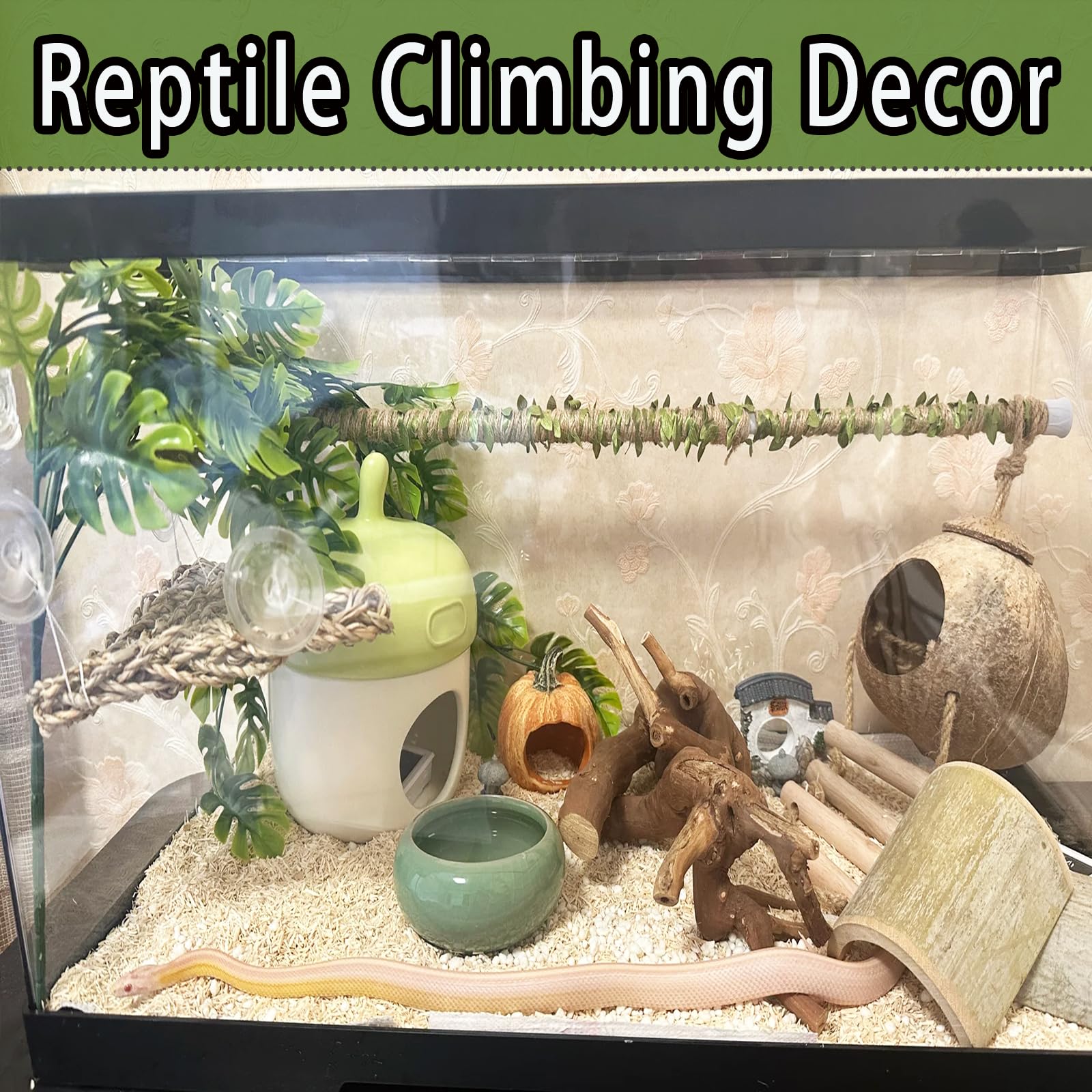Delllala solution d'enrichissement habitat serpents et autres reptiles.