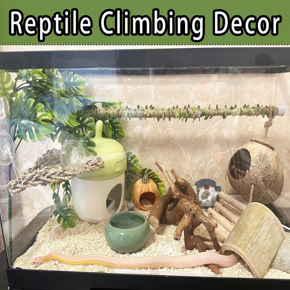 Delllala solution d'enrichissement habitat serpents et autres reptiles.