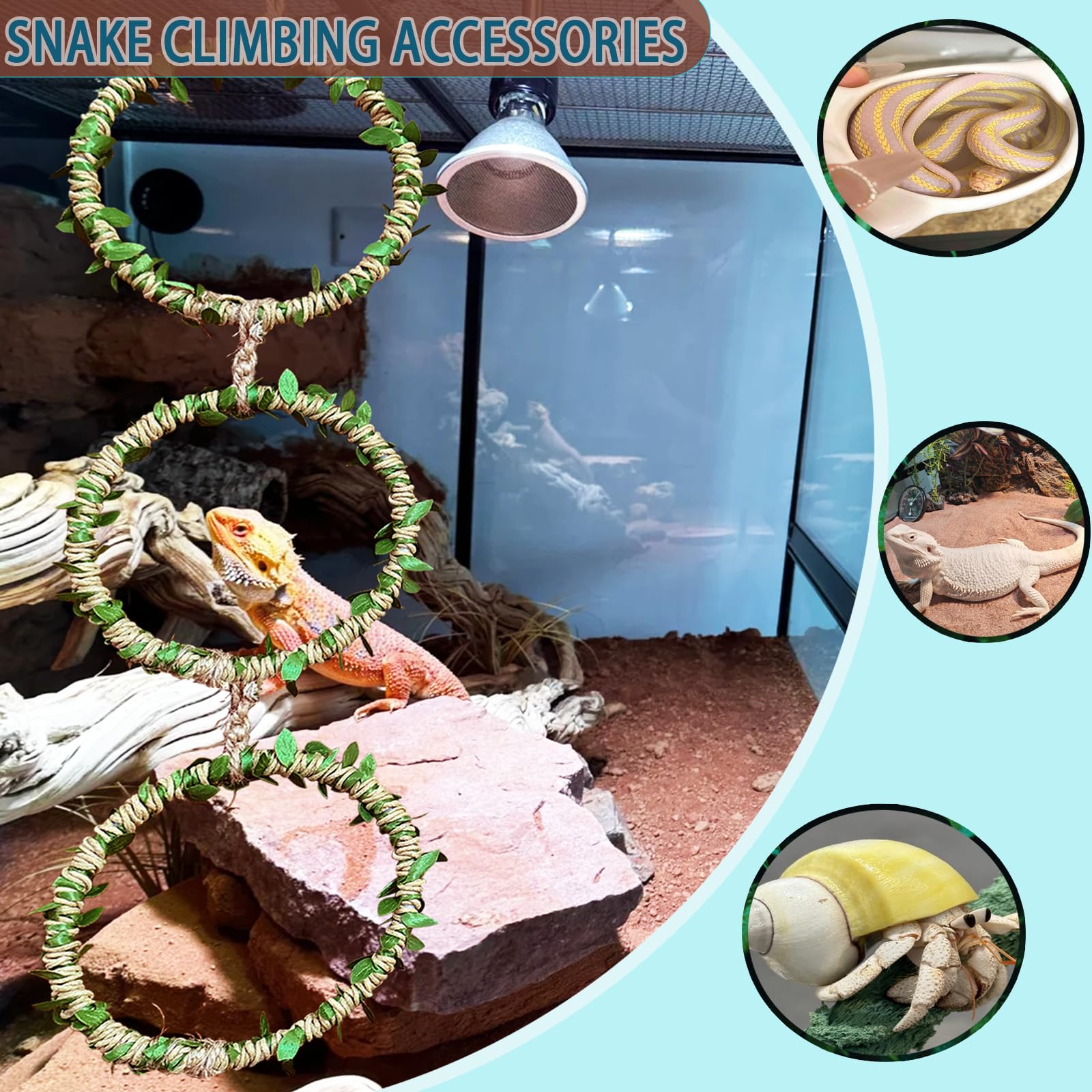 Delllala terrarium-decoration-habitat-reptile: améliore l'esthétique et le bien-être du reptile.