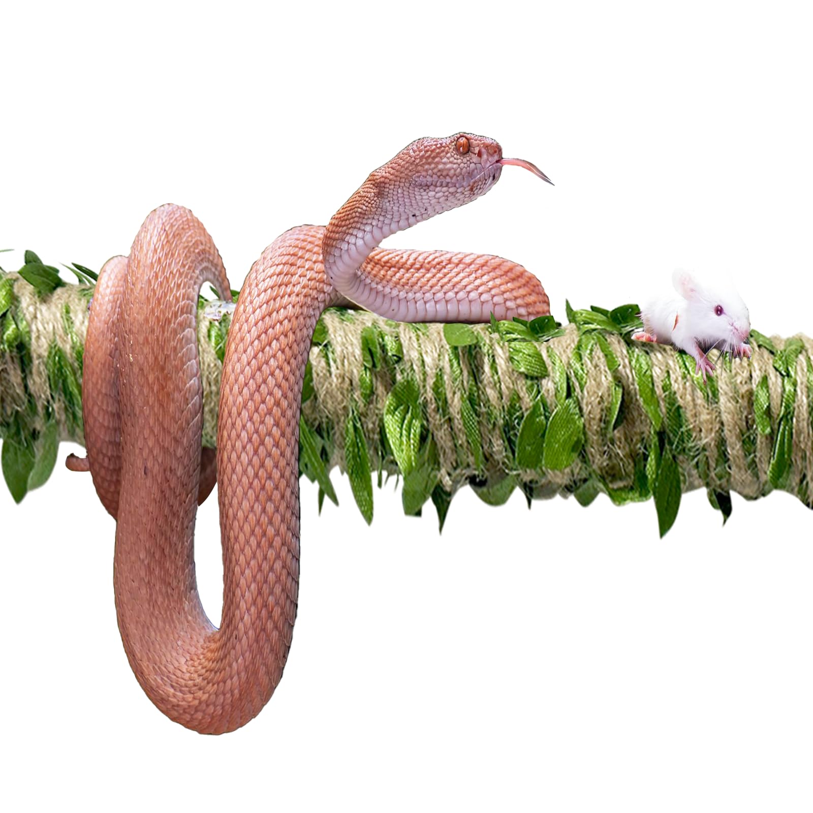 Delllala tige-escalade-serpent résistante, longue durée de vie et sécurité.