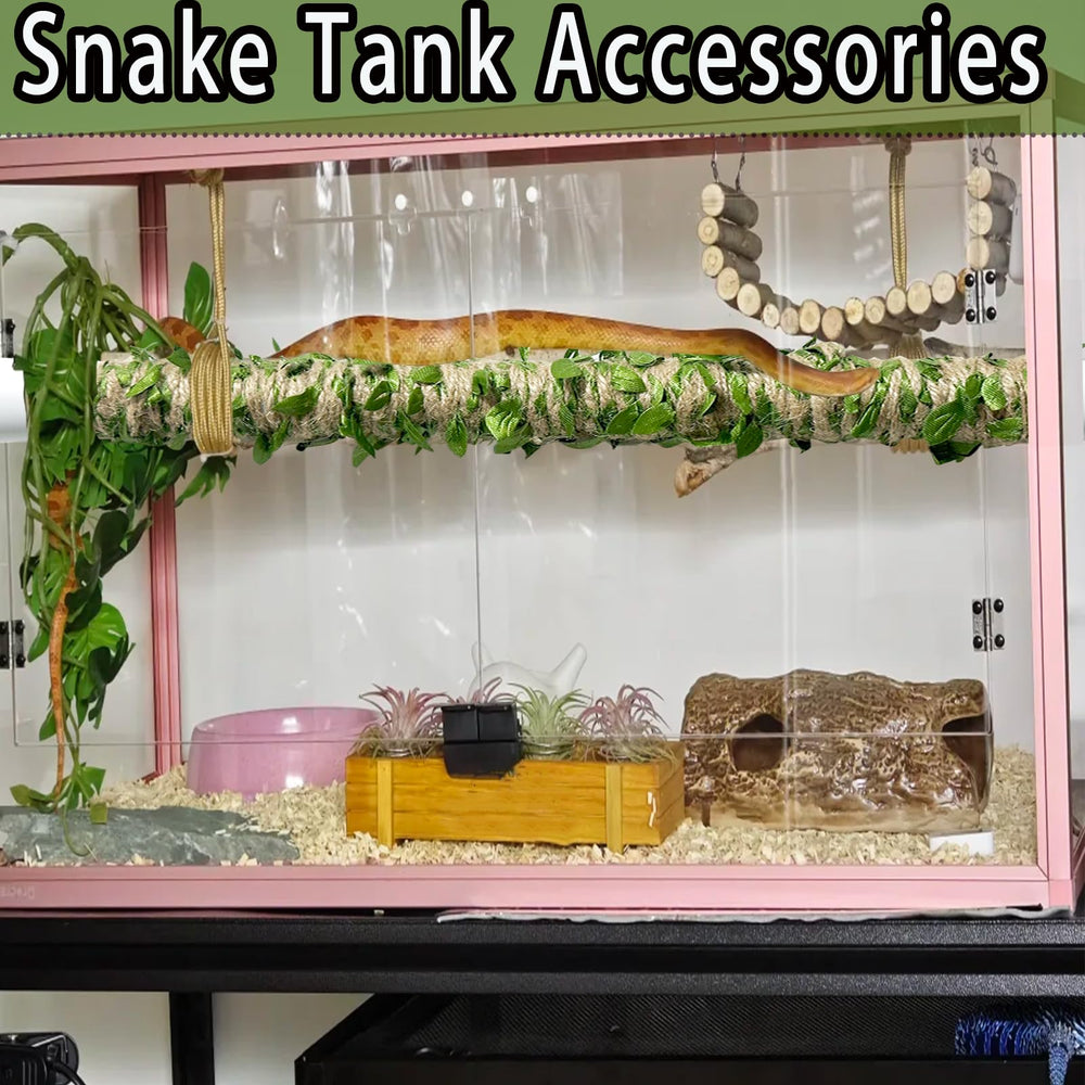 Delllala tige-escalade-serpent pour reptiles variés, polyvalence terrarium.