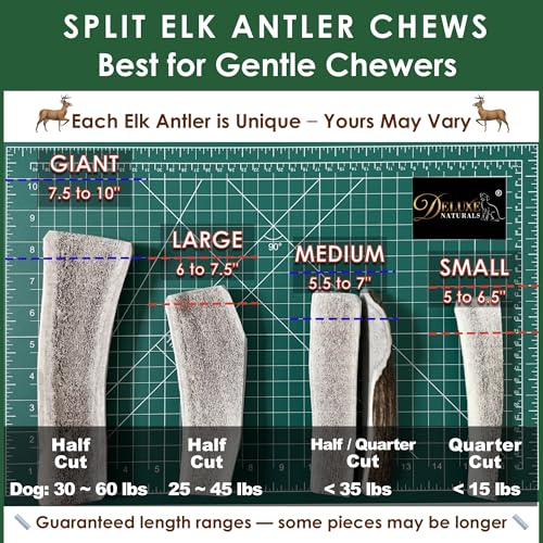 Deluxe Naturals: gros plan sur la tranche des cornes de cerf.