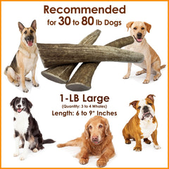Deluxe Naturals illustre une mastication longue durée pour chiens actifs.