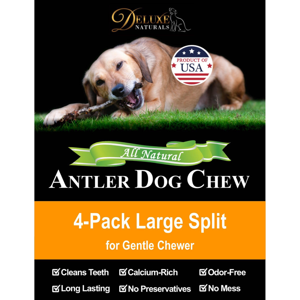 Sécurité et naturel: os d'élan fendu Deluxe Naturals pour chiens moyens