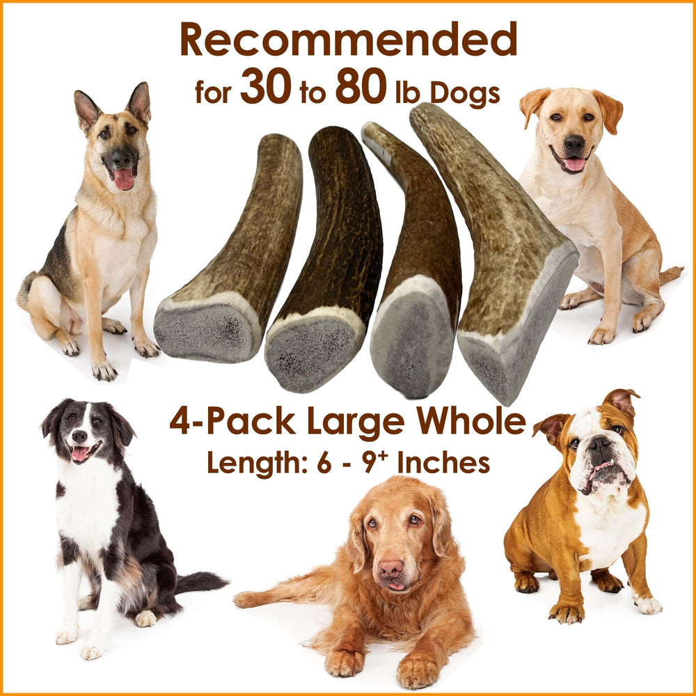 Deluxe Naturals, stimulation mentale pour chiens, combat l'ennui.