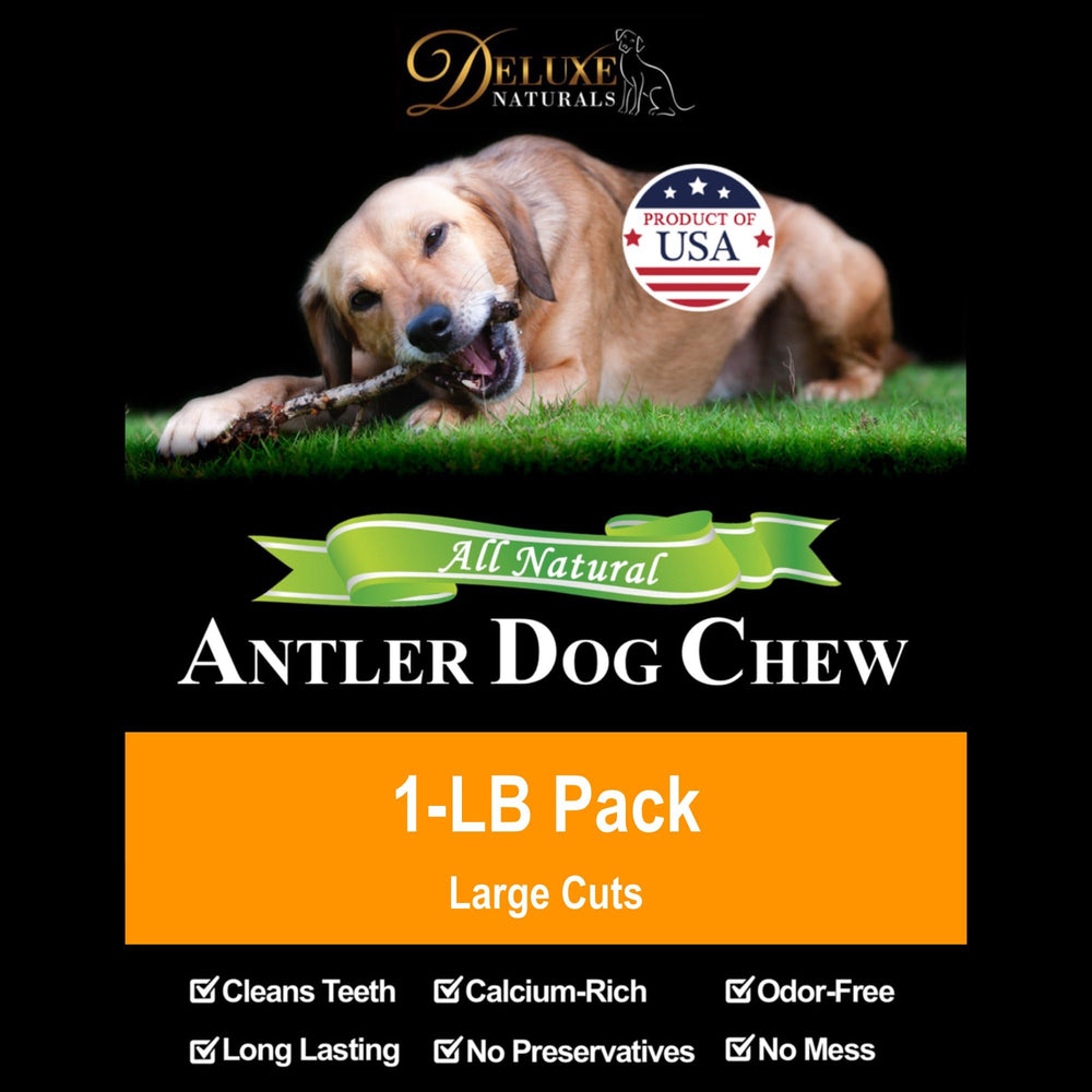 Deluxe Naturals présente une taille adaptée pour chiens de 30 à 80 lb.