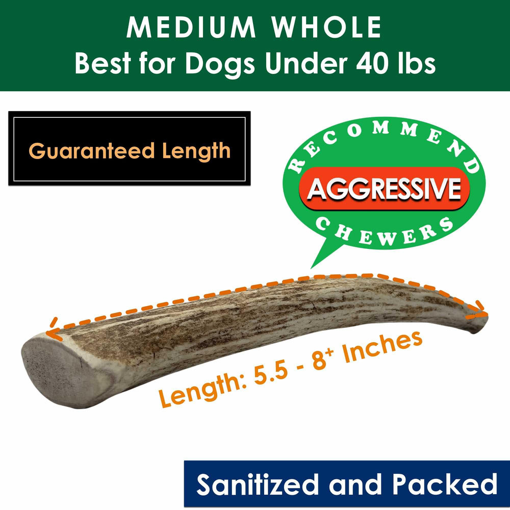 Deluxe Naturals – Taille adaptée pour petits et moyens chiens jusqu’à 40 lb.