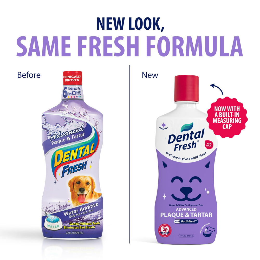 Dental Fresh Additif Eau Doseur: dosage simple pour eau quotidienne et haleine plus fraîche.