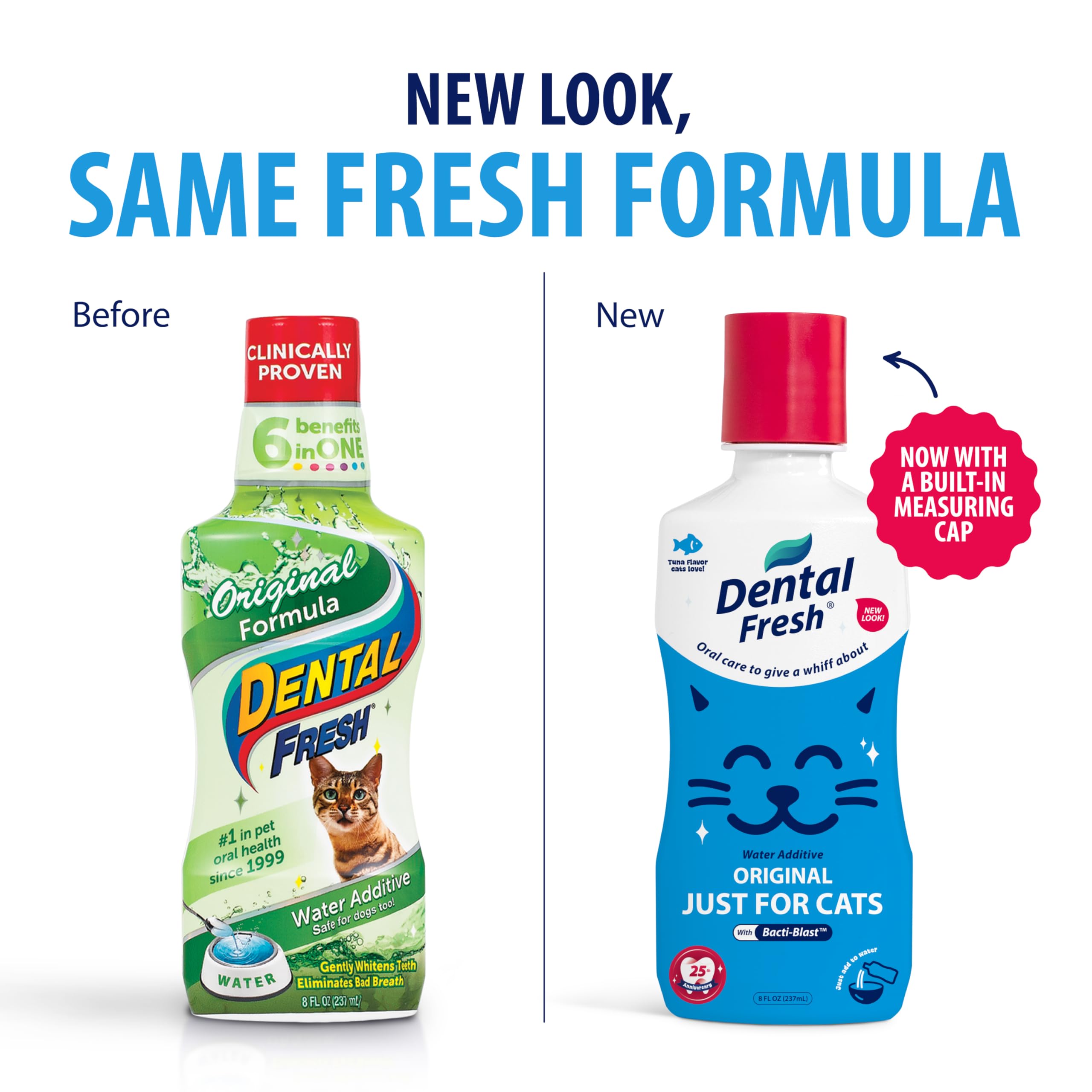 Dental Fresh: chat boit l’eau additivée au thon dans le bol.