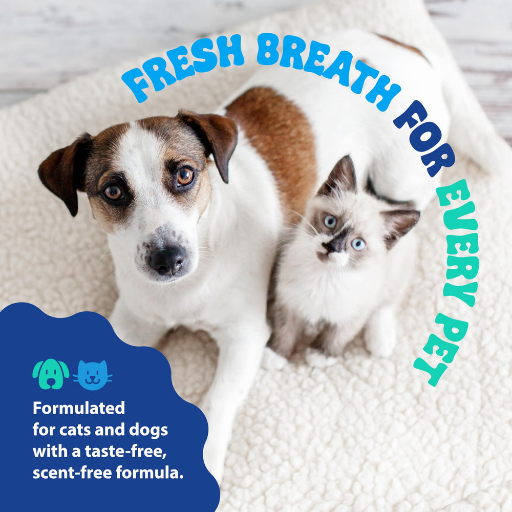 Dental Fresh sans alcool et sans saveur – respecte habitudes de boisson.