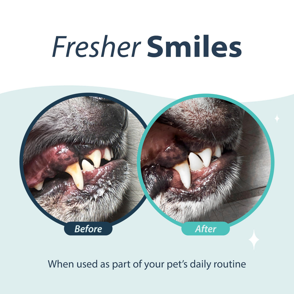 Sans arôme, formulation douce adaptée aux chiens et chats sensibles.