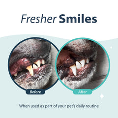 Sans arôme, formulation douce adaptée aux chiens et chats sensibles.