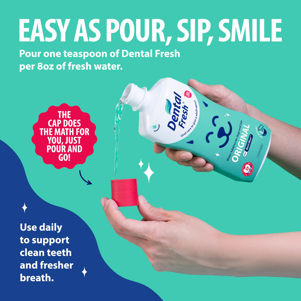 Dental Fresh verser dans bol eau – pratique et simple à utiliser.
