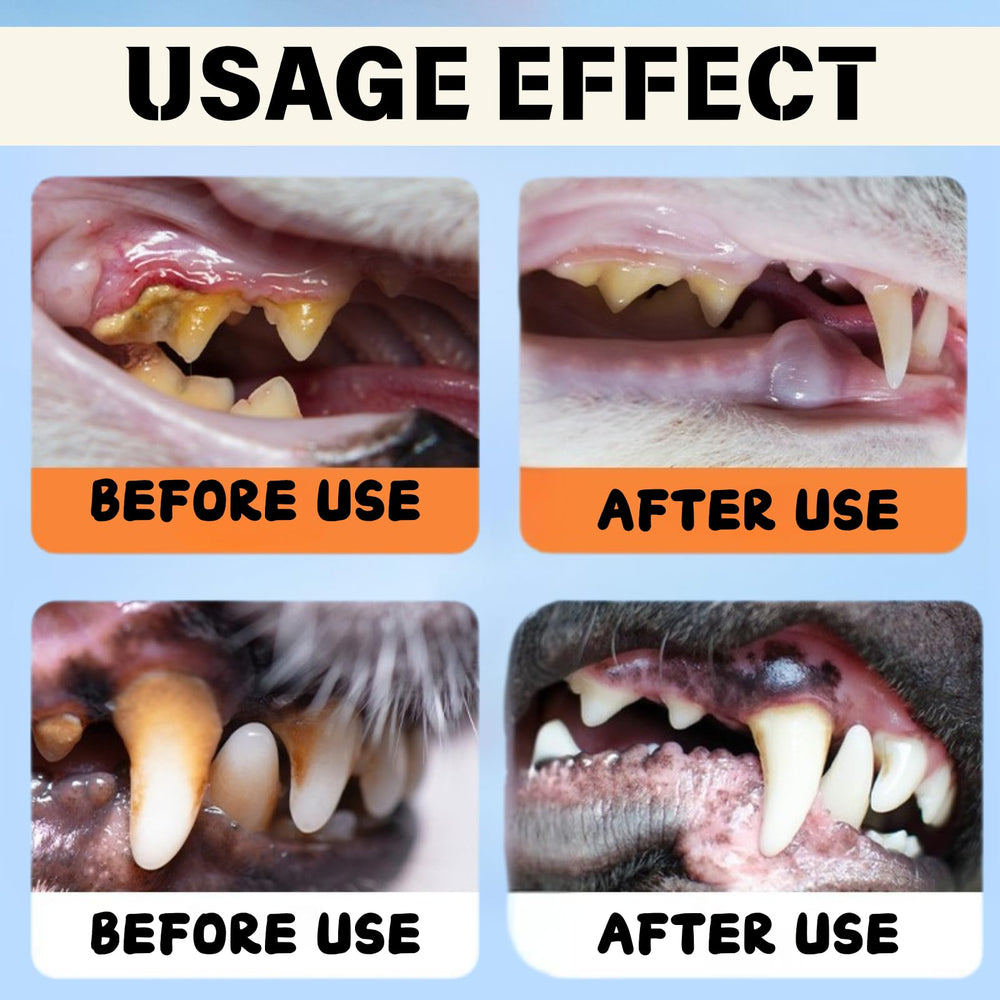 Dental Plus: gros plan sur la bouche, sourire plus sain.