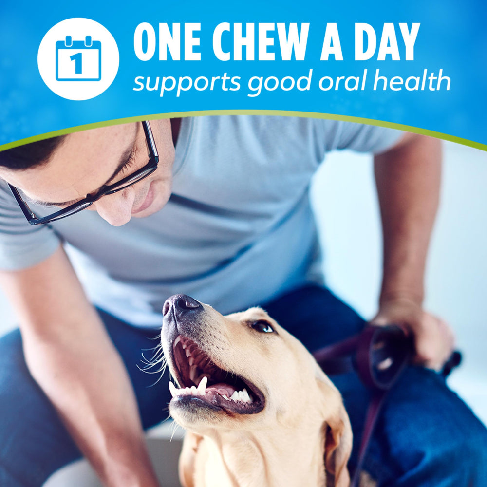 DentaLife ActivFresh goût poulet, récompense savoureuse pour chien.