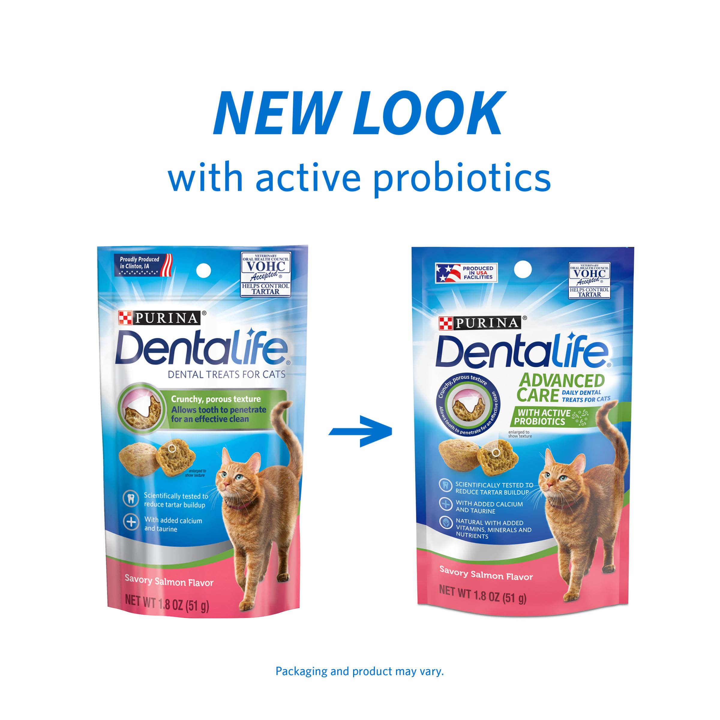 Dentalife texture poreuse met en évidence la surface qui aide au nettoyage lors de la mastication.
