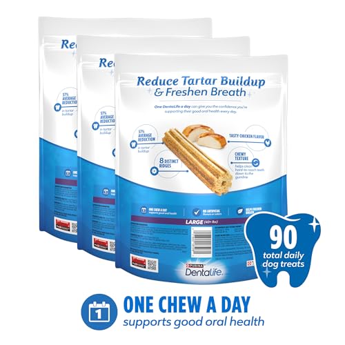 Dentalife utilisation quotidienne, routine simple et agréable.