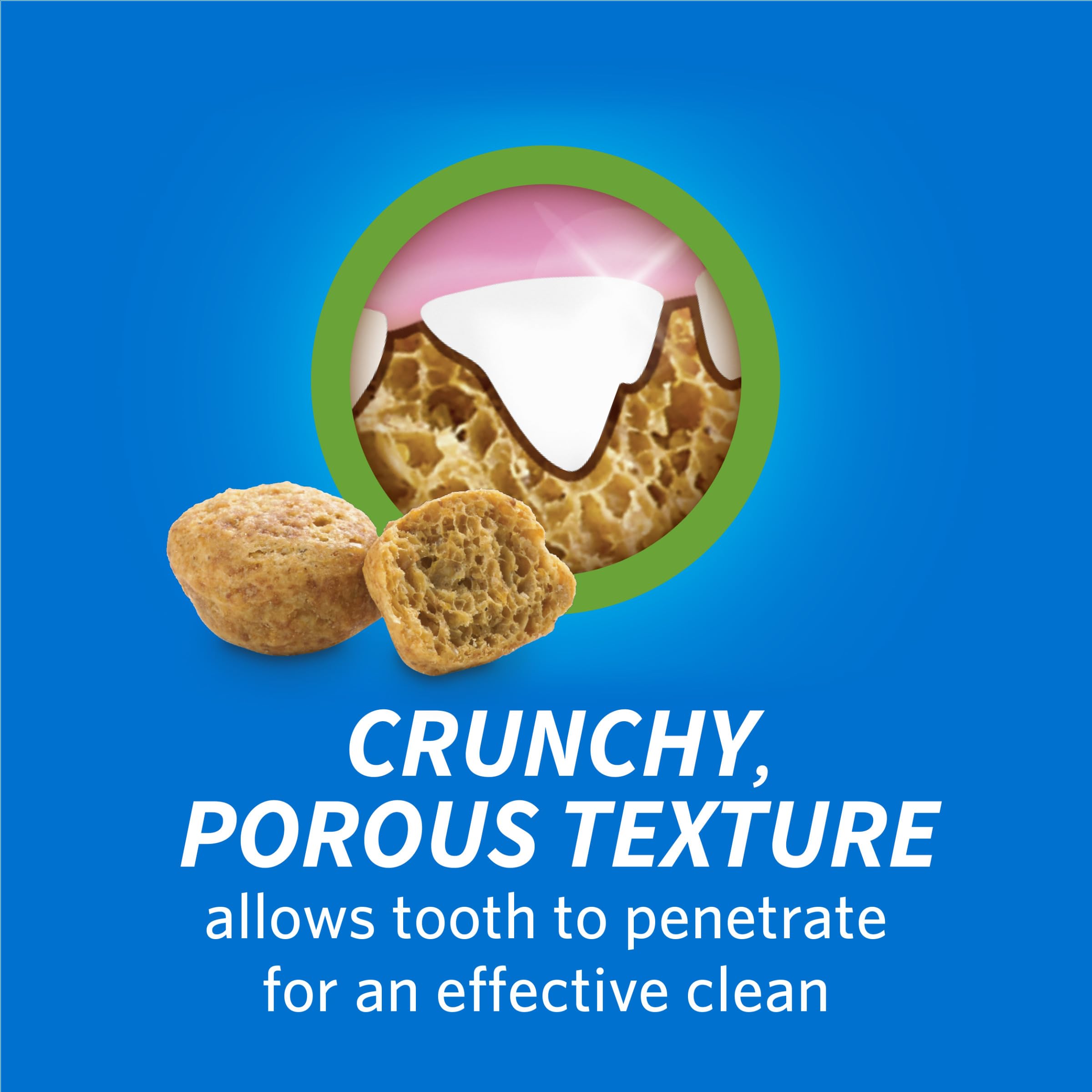 Texture poreuse en gros plan révélant la croquante friandise.