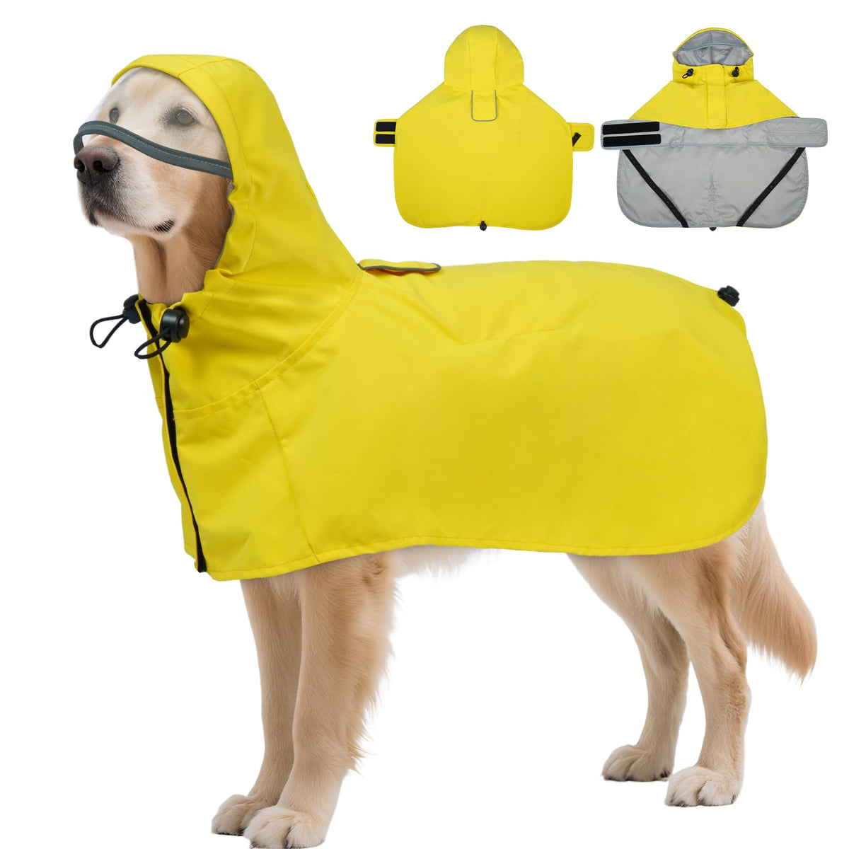 DENTRUN imperméable chien pluie capuche XXL : protection fiable lors des balades sous pluie