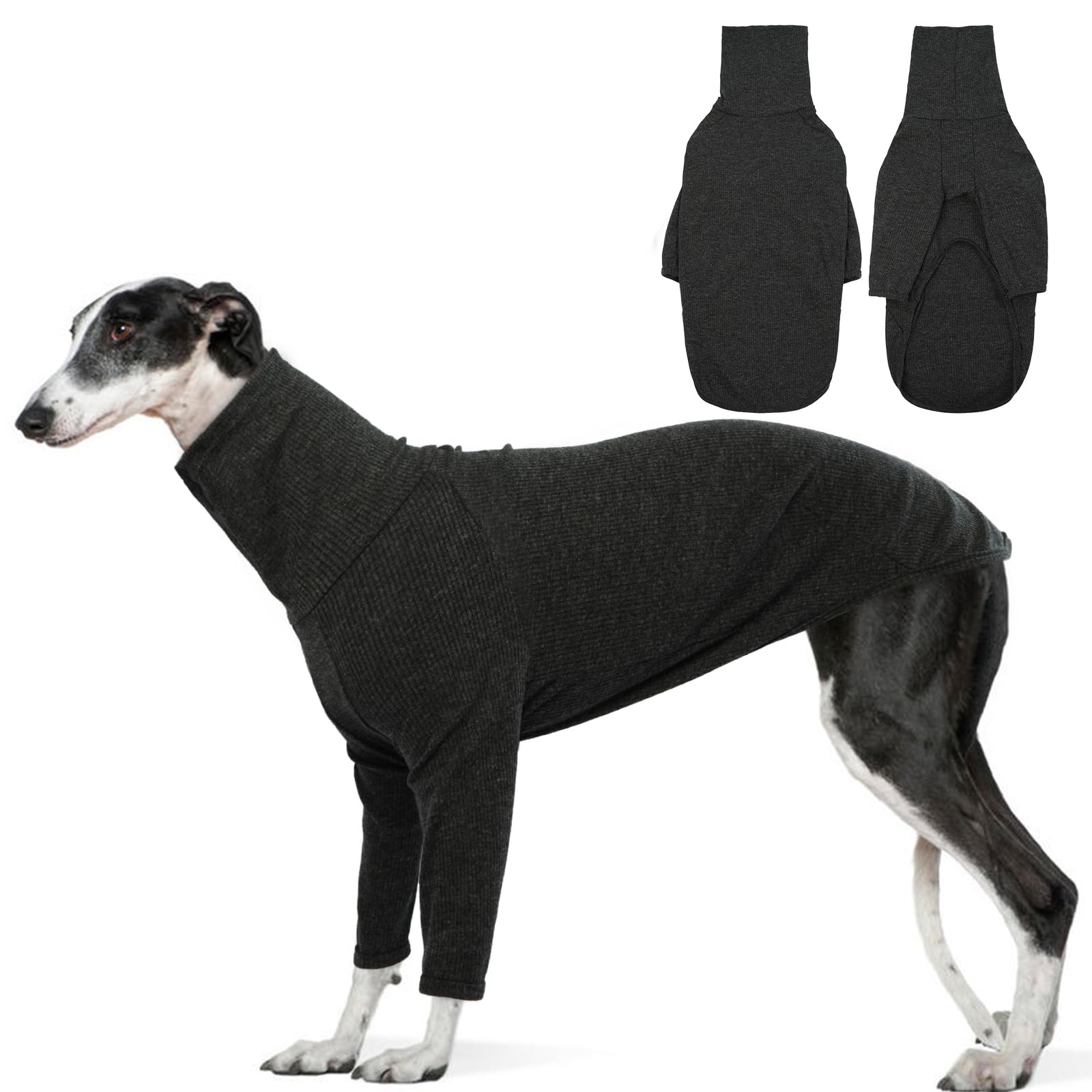Pull DENTRUN pour lévrier italien, col roulé, chaleur idéale pour promenades
