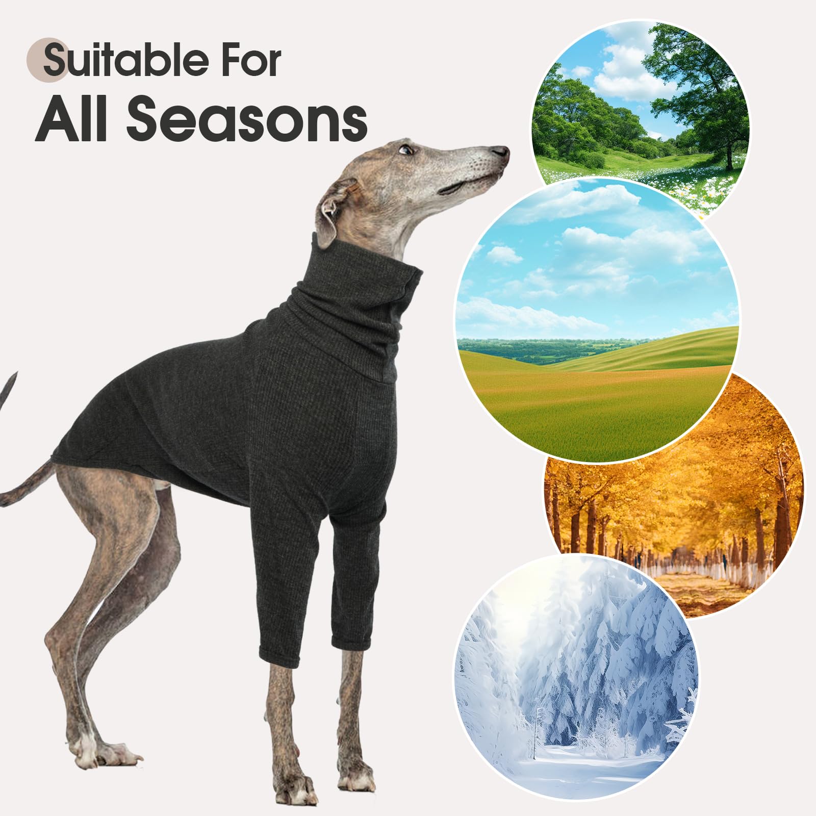 Pull DENTRUN dos complet, couverture du torse jusqu’à la queue