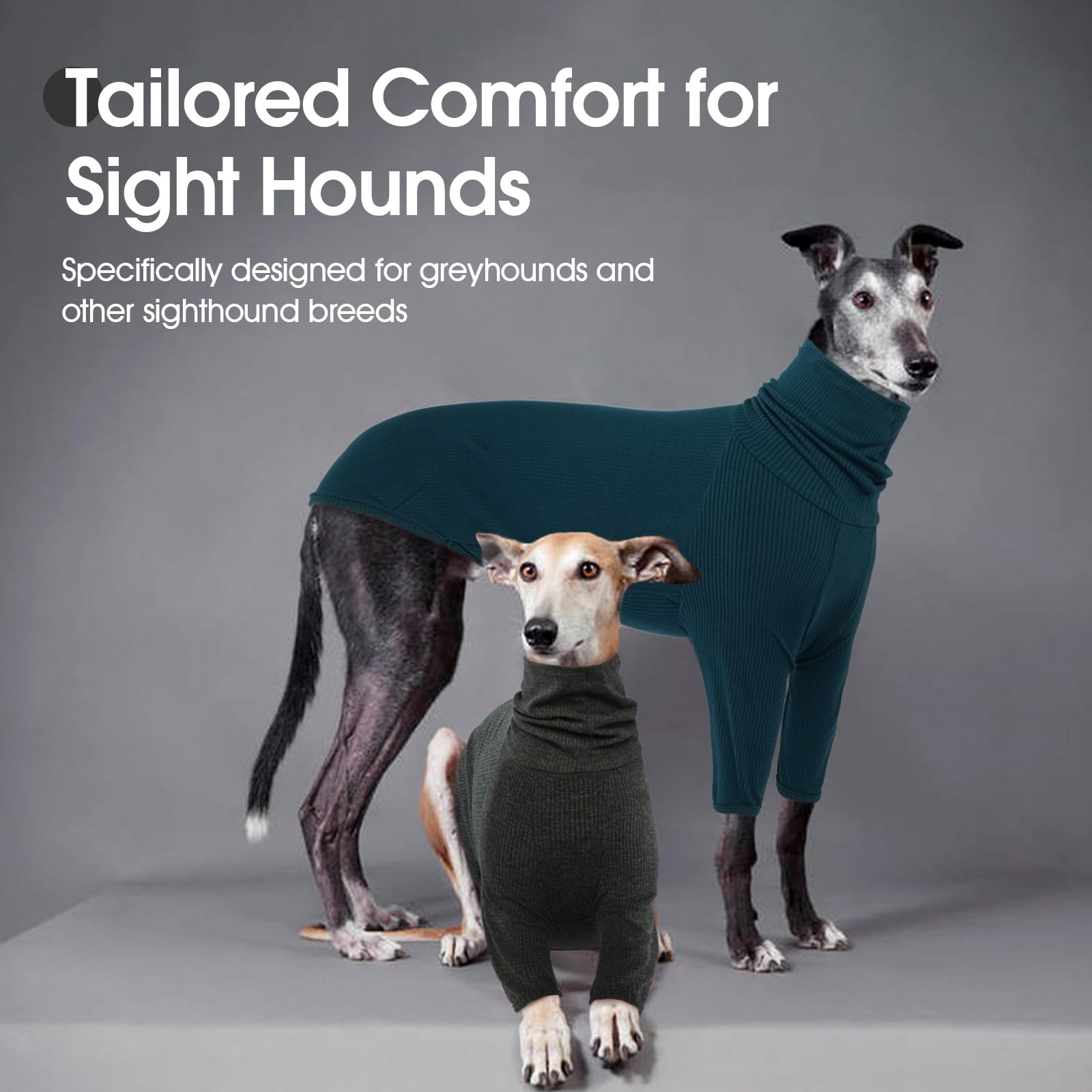 Pull DENTRUN grande taille XXXL, ajustement sûr pour grands chiens