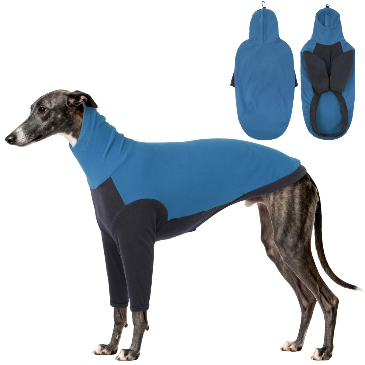 DentRun pull polaire pour le Lévrier anglais, chaleur douce lors des promenades hivernales.