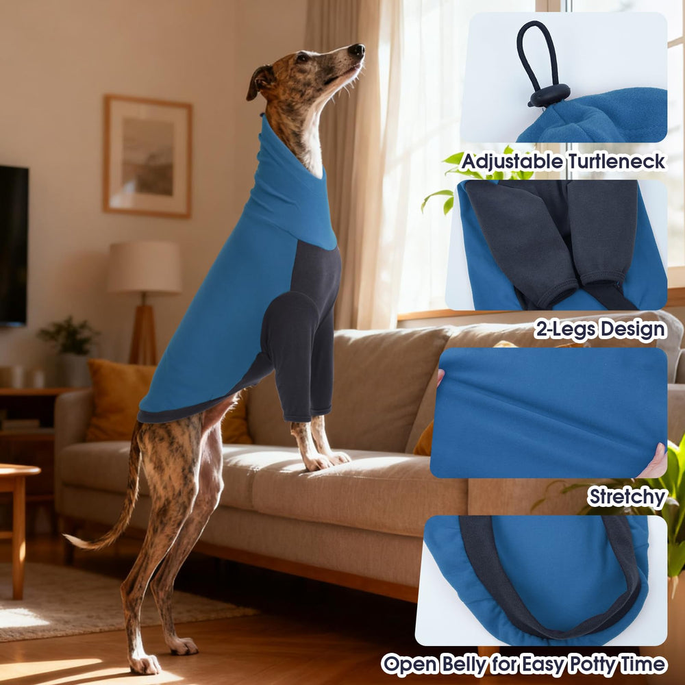 DentRun pull polaire pour le Lévrier whippet, liberté de mouvement pendant les activités.