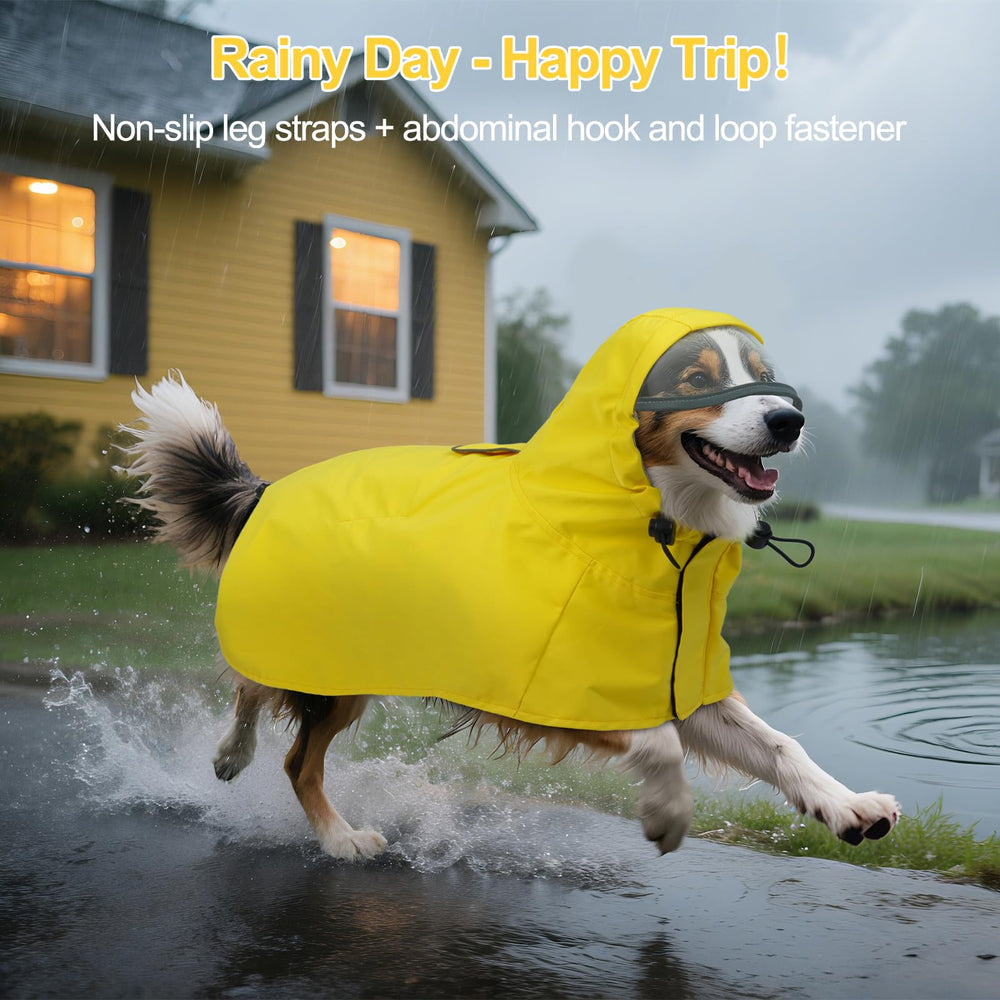 DENTRUN veste pluie chien capuche reglable XXL : ajustement confortable lors des promenades