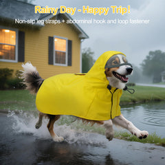 DENTRUN veste pluie chien capuche reglable XXL : ajustement confortable lors des promenades