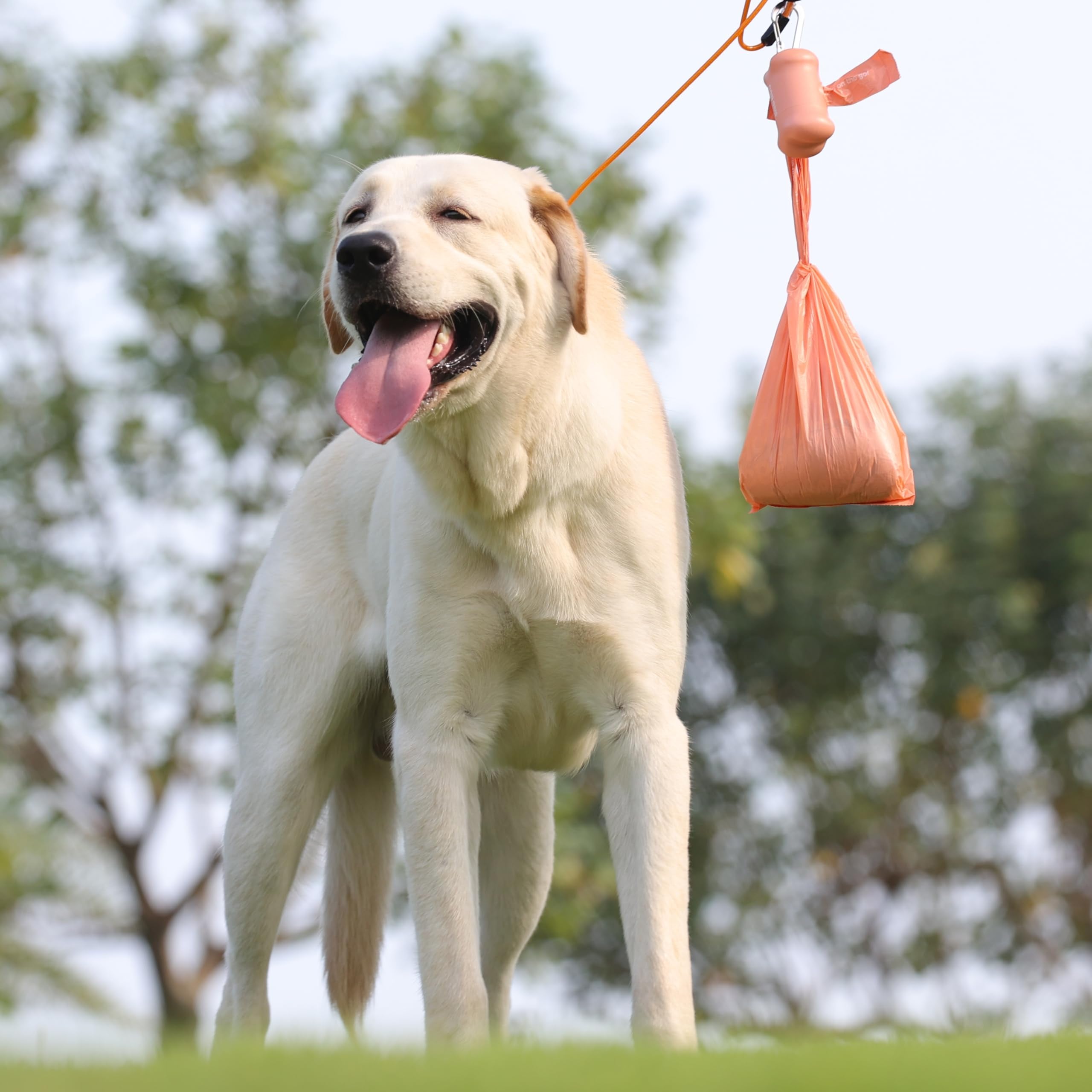 Parfum pêche Deo Doo, balade plus agréable pour le chien.