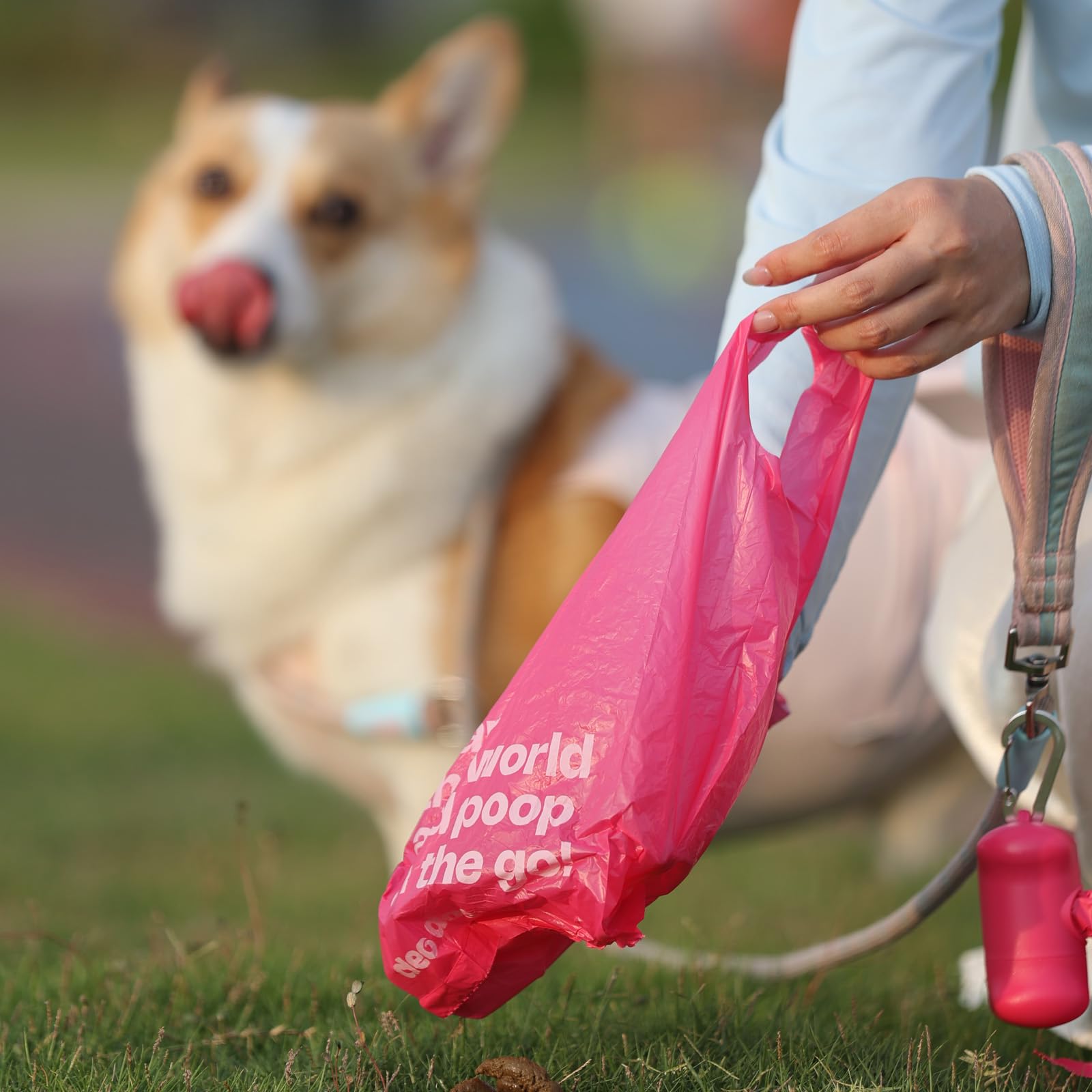 Sacs grand format Deo Doo adaptés pour grands chiens et chats.