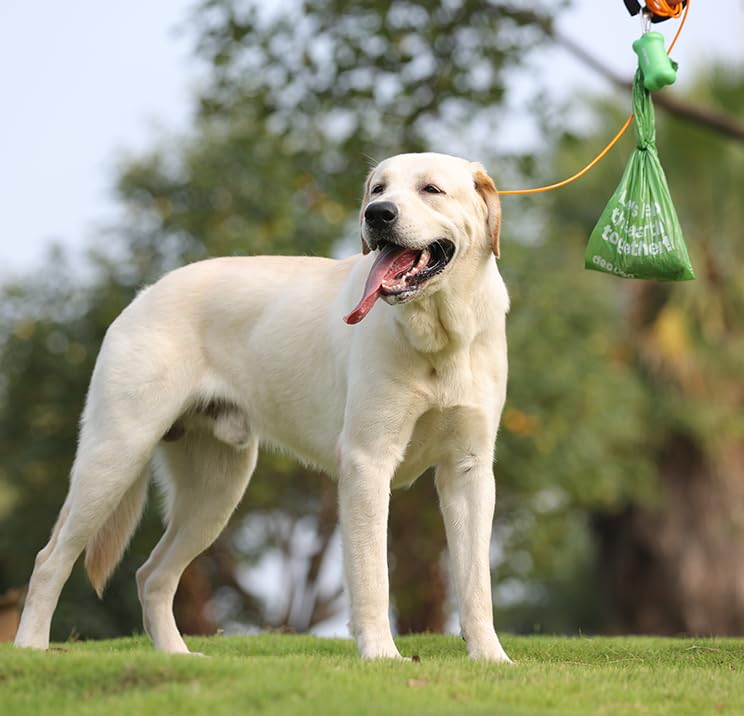 Grandes tailles Deo Doo idéales pour gros chiens.