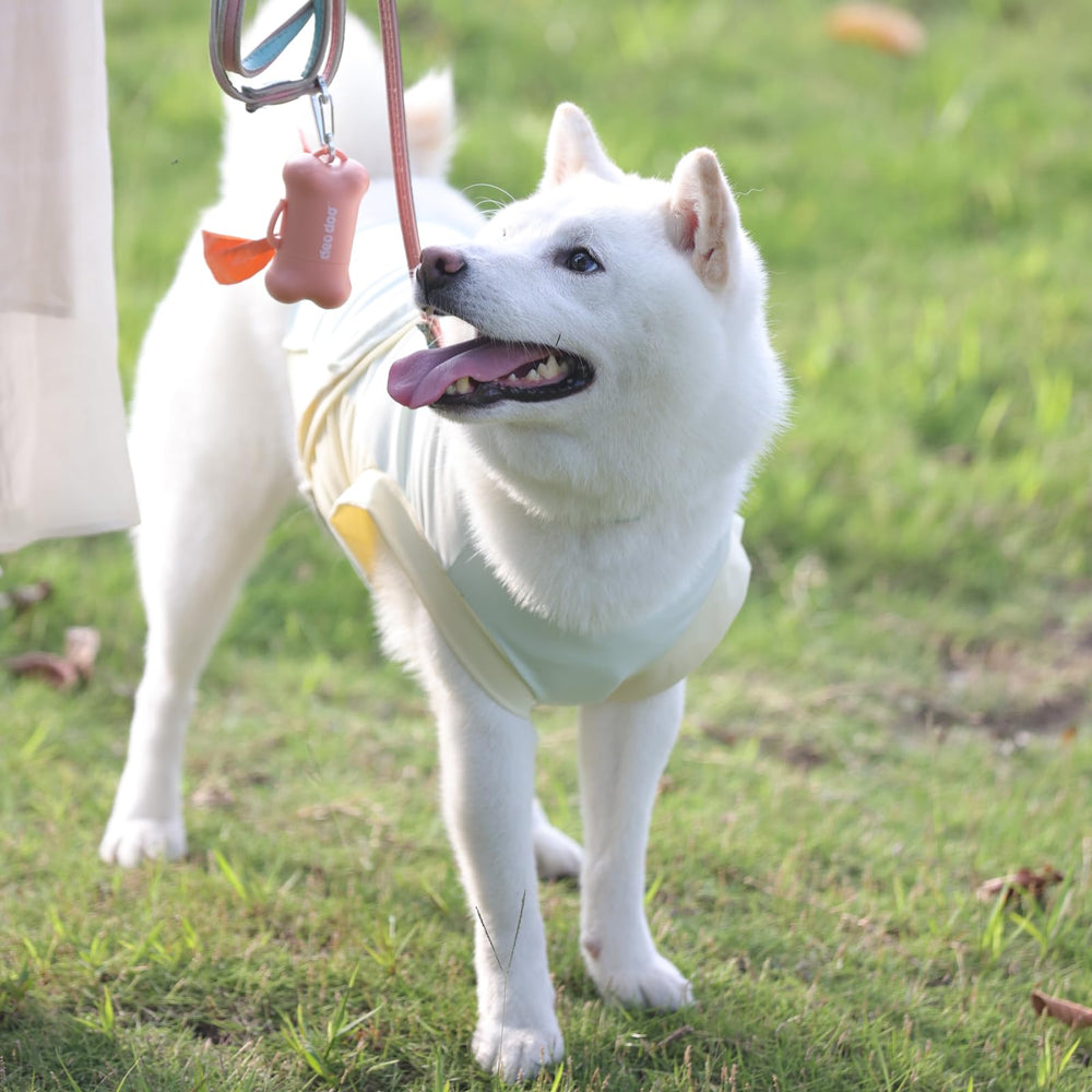 Utilisation en promenade avec chien grâce aux sacs à poignée.