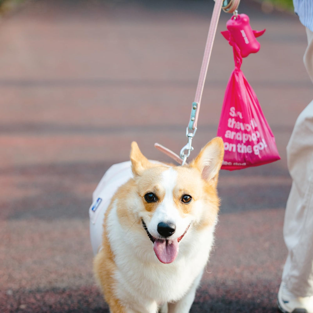 Utilisation lors d'une promenade avec le sac Deo Doo, hygiène et confort.