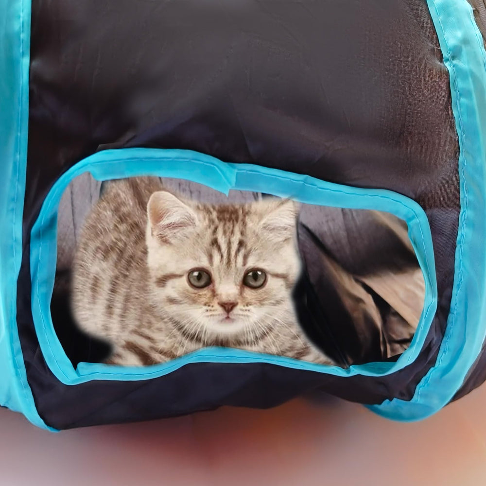 Deofun tunnel-chat pour plusieurs animaux: espace partagé et amusant.