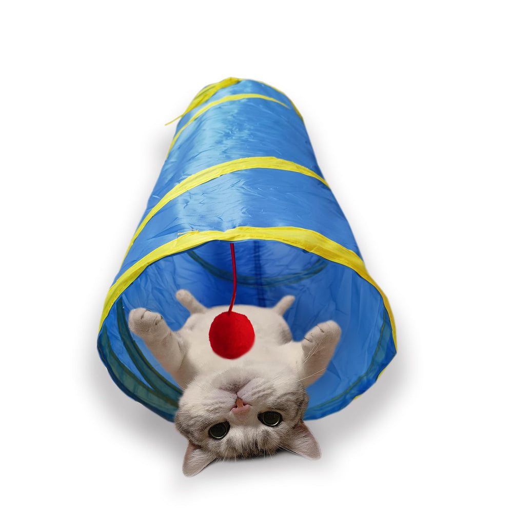 Tunnel Deofun pour chat intérieur à deux voies, pliable et pratique.