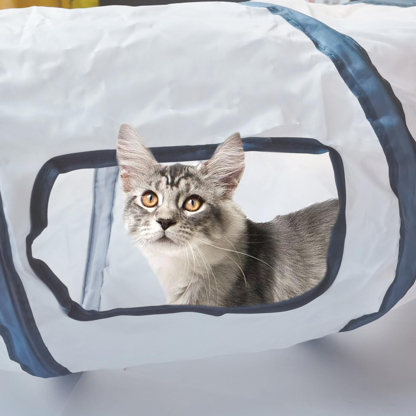 Jeu intérieur Deofun pour chats, activité physique et distraction.